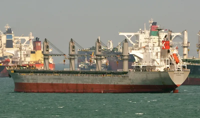 INFINITY K Bulk Carrier IMO 9445069 photo 3