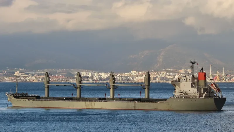 INFINITY K Bulk Carrier IMO 9445069 photo 4