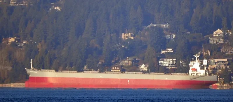 INFINITY K Bulk Carrier IMO 9445069 photo 5