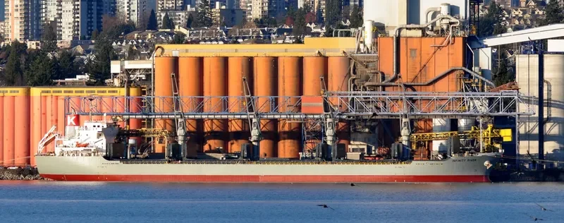 INFINITY K Bulk Carrier IMO 9445069 photo 6