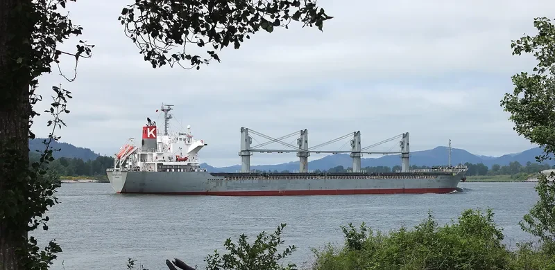 INFINITY K Bulk Carrier IMO 9445069 photo 7