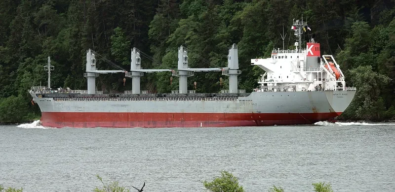 INFINITY K Bulk Carrier IMO 9445069 photo 8