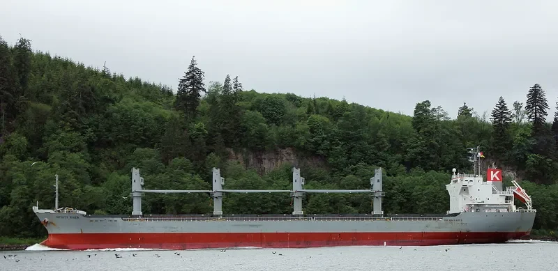 INFINITY K Bulk Carrier IMO 9445069 photo 9