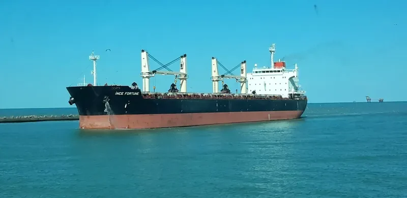 INCE FORTUNE Bulk Carrier IMO 9445071