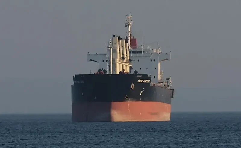 INCE FORTUNE Bulk Carrier IMO 9445071 photo 3