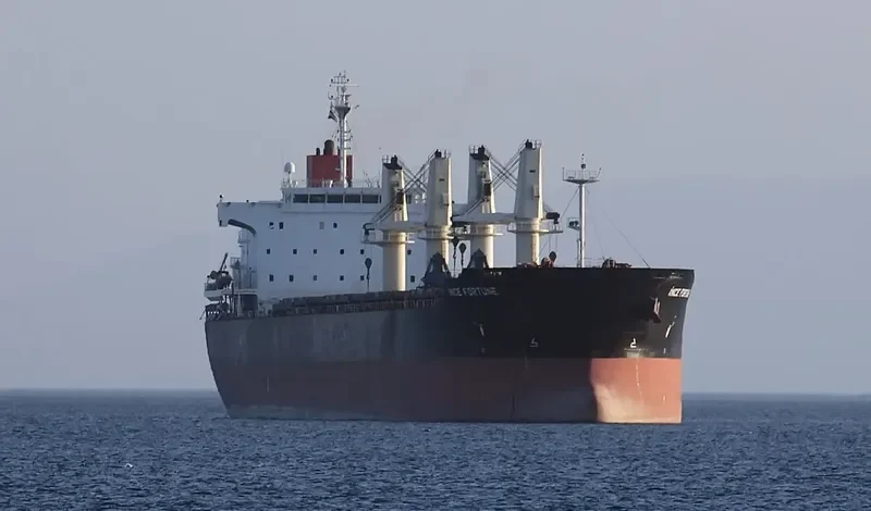 INCE FORTUNE Bulk Carrier IMO 9445071 photo 4