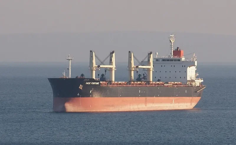 INCE FORTUNE Bulk Carrier IMO 9445071 photo 5