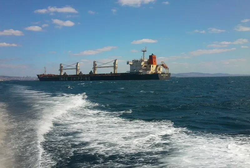 INCE FORTUNE Bulk Carrier IMO 9445071 photo 6