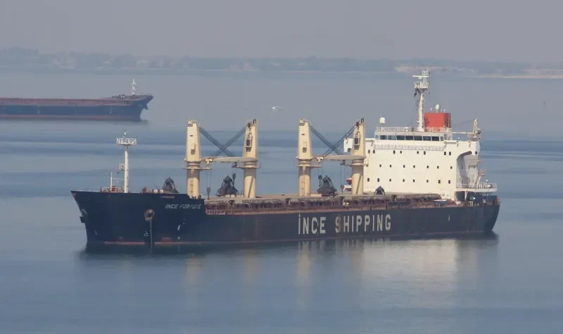 INCE FORTUNE Bulk Carrier IMO 9445071 photo 7