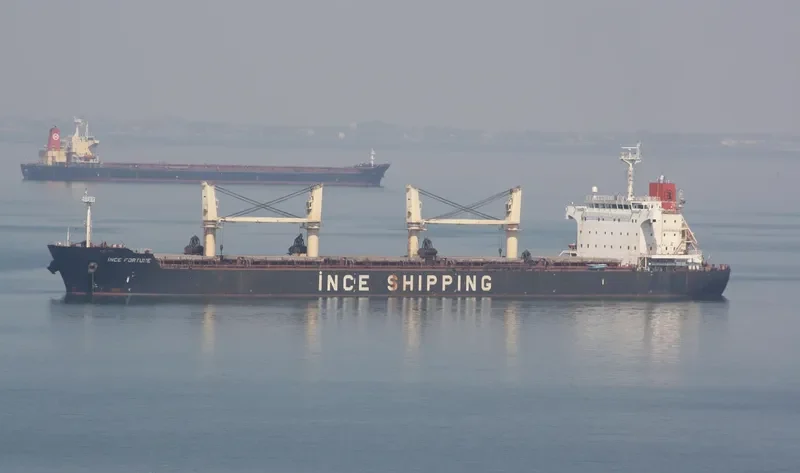 INCE FORTUNE Bulk Carrier IMO 9445071 photo 8