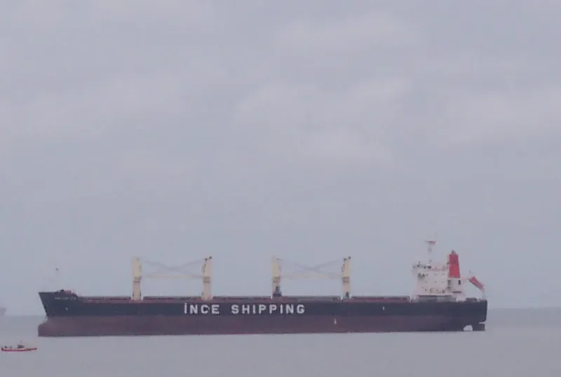 INCE FORTUNE Bulk Carrier IMO 9445071 photo 9
