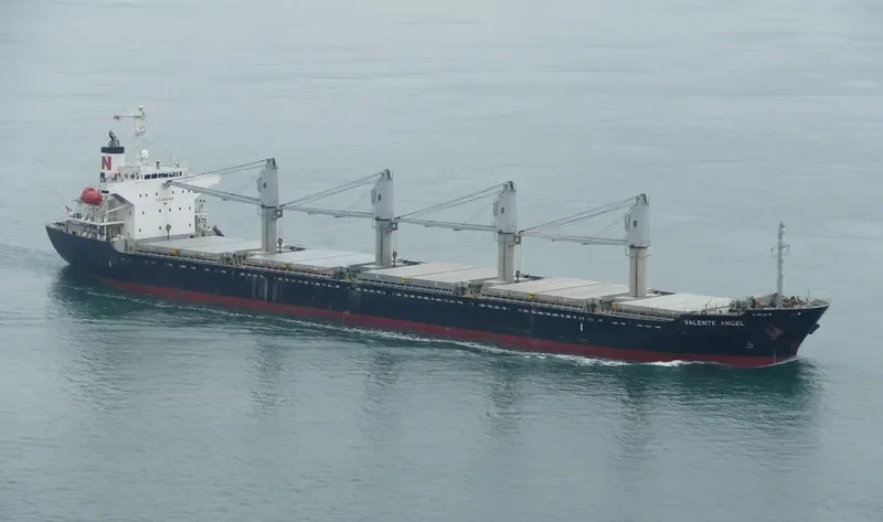 DESPINA Bulk Carrier IMO 9445124