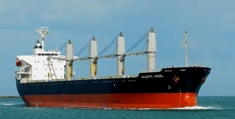DESPINA Bulk Carrier IMO 9445124 photo 3