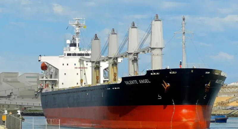 DESPINA Bulk Carrier IMO 9445124 photo 4