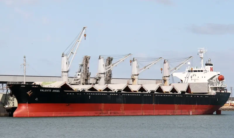 DESPINA Bulk Carrier IMO 9445124 photo 5