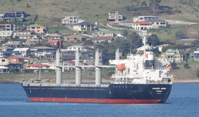 DESPINA Bulk Carrier IMO 9445124 photo 8