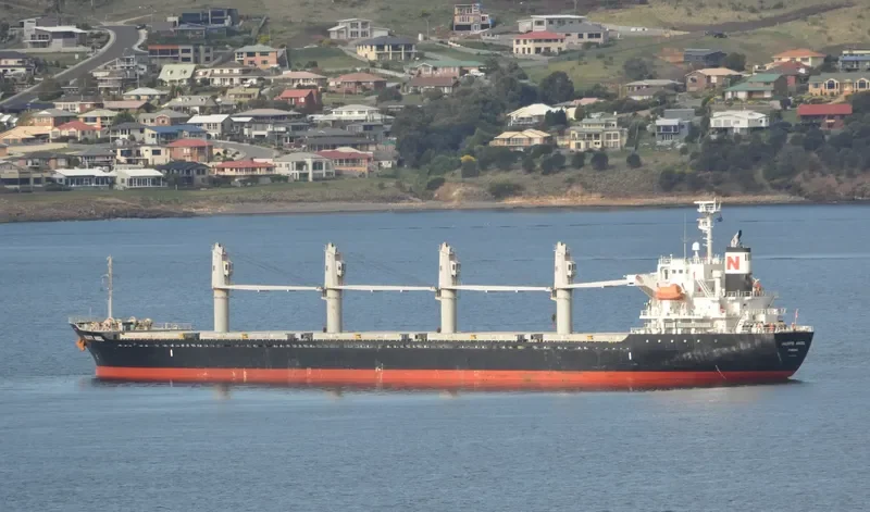 DESPINA Bulk Carrier IMO 9445124 photo 9