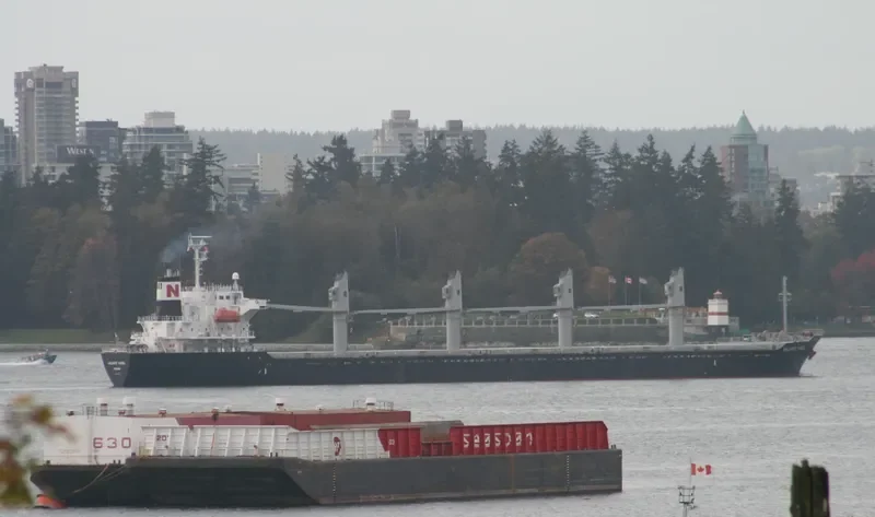 DESPINA Bulk Carrier IMO 9445124 photo 10