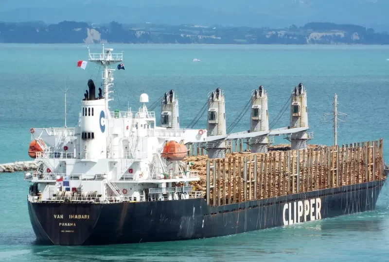 ERIKETI Bulk Carrier IMO 9445136 photo 3