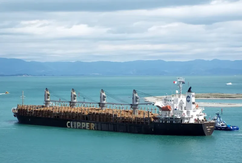 ERIKETI Bulk Carrier IMO 9445136 photo 4