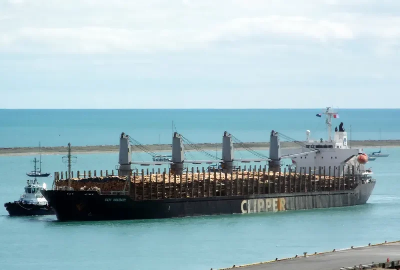 ERIKETI Bulk Carrier IMO 9445136 photo 6