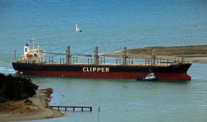 ERIKETI Bulk Carrier IMO 9445136 photo 9
