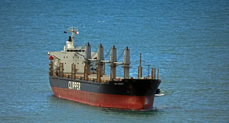ERIKETI Bulk Carrier IMO 9445136 photo 10