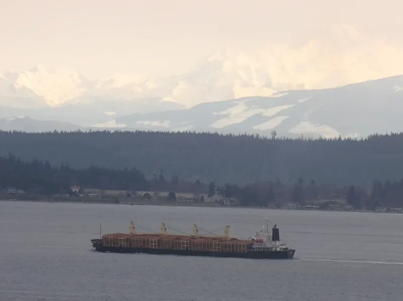 INASE Bulk Carrier IMO 9445148 photo 10