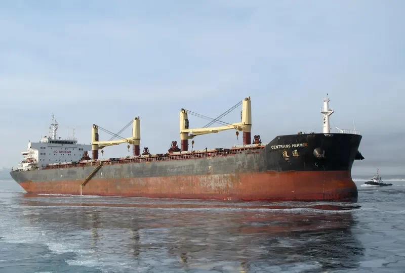 GRAND HERMES Bulk Carrier IMO 9445162 photo 4