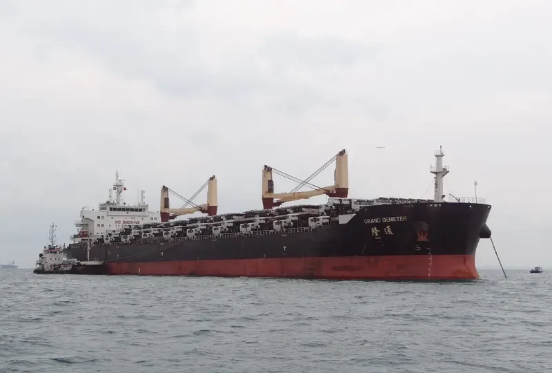 GRAND DEMETER Bulk Carrier IMO 9445174 photo 2