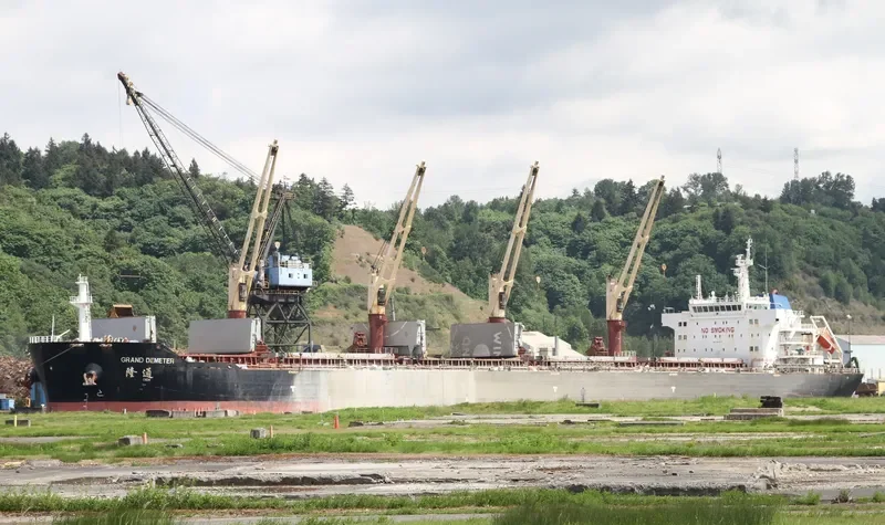 GRAND DEMETER Bulk Carrier IMO 9445174 photo 3