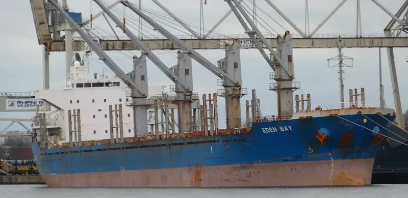 REK GRACE Bulk Carrier IMO 9445203