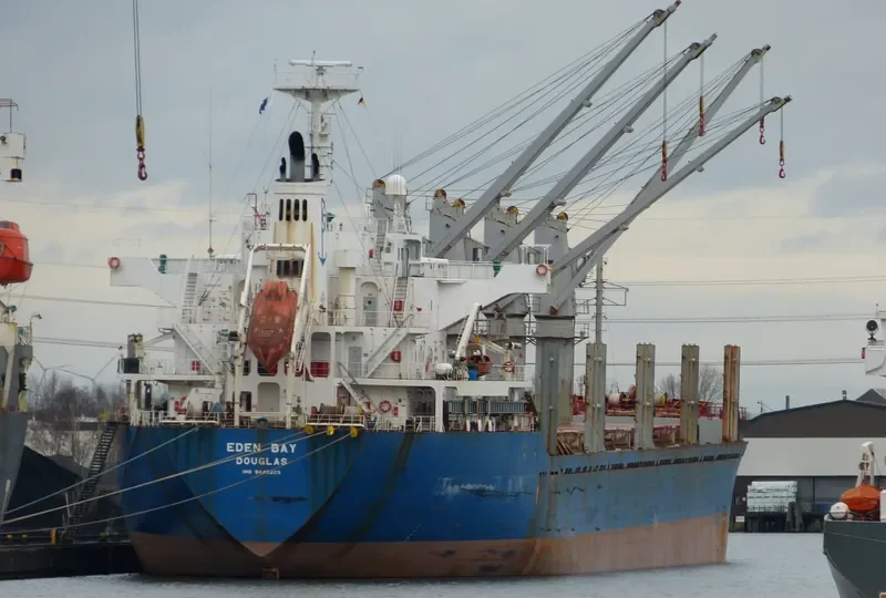 REK GRACE Bulk Carrier IMO 9445203 photo 2