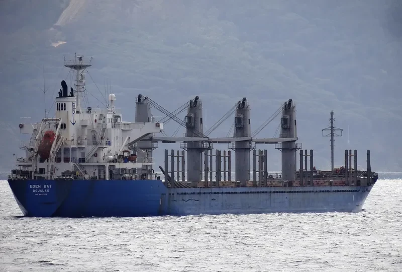 REK GRACE Bulk Carrier IMO 9445203 photo 7