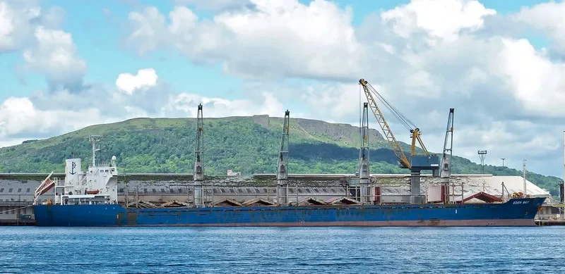 REK GRACE Bulk Carrier IMO 9445203 photo 9