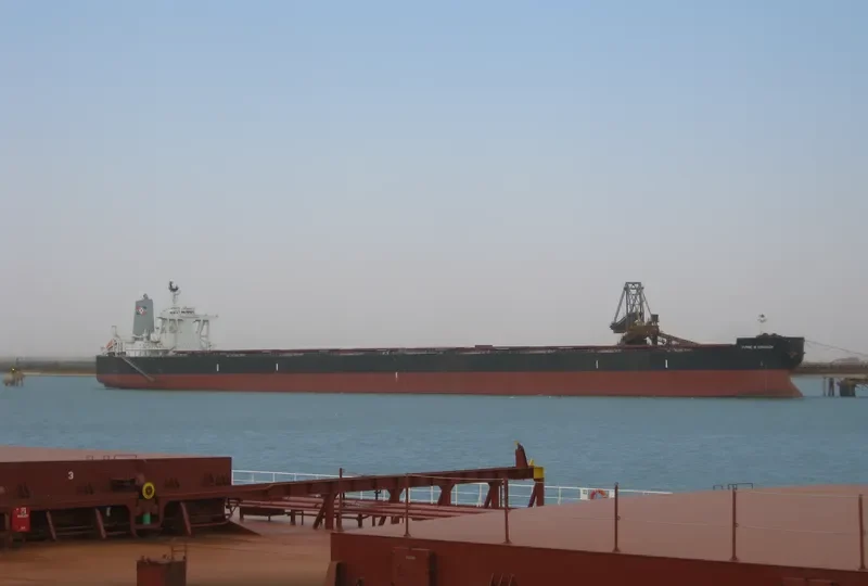 FPMC B KINGDOM Bulk Carrier IMO 9445215