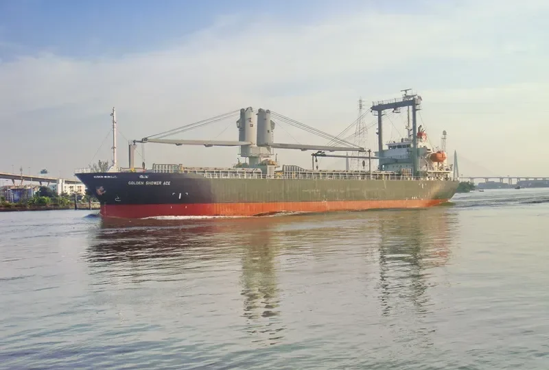 OCEAN GEMSTONE General Cargo IMO 9445239 photo 3