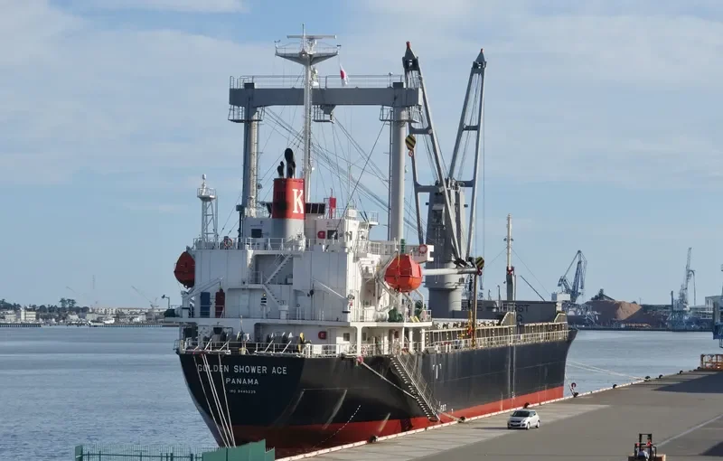 OCEAN GEMSTONE General Cargo IMO 9445239 photo 5