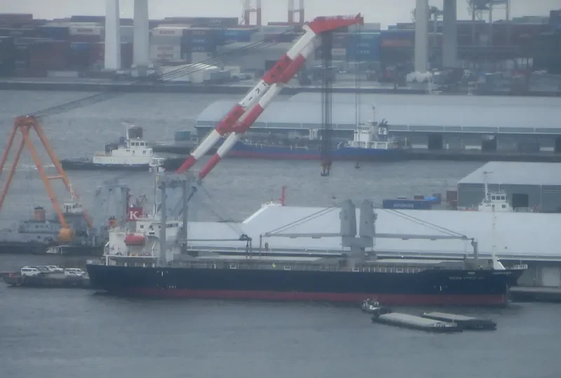 OCEAN GEMSTONE General Cargo IMO 9445239 photo 10