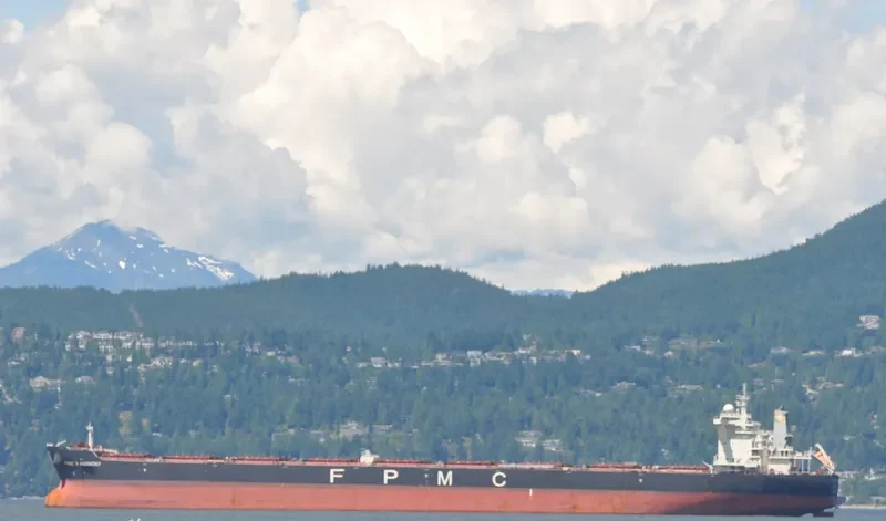 FPMC B HARMONY Bulk Carrier IMO 9445277 photo 2