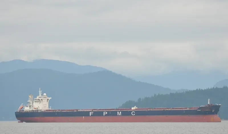 FPMC B HARMONY Bulk Carrier IMO 9445277 photo 4