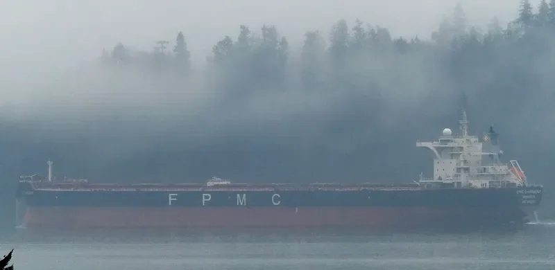 FPMC B HARMONY Bulk Carrier IMO 9445277 photo 8