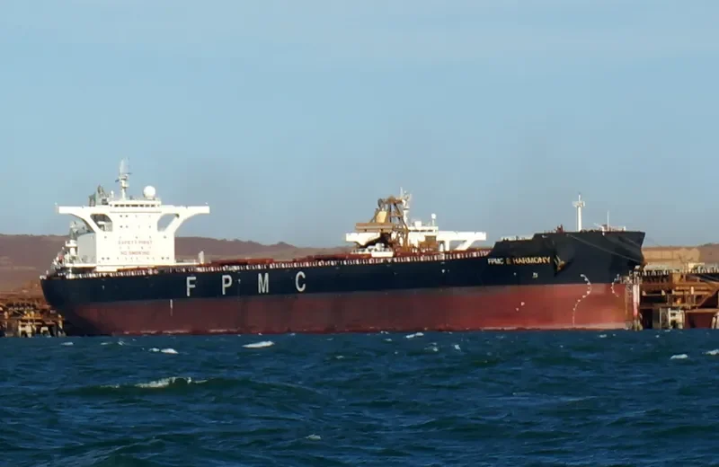 FPMC B HARMONY Bulk Carrier IMO 9445277 photo 9