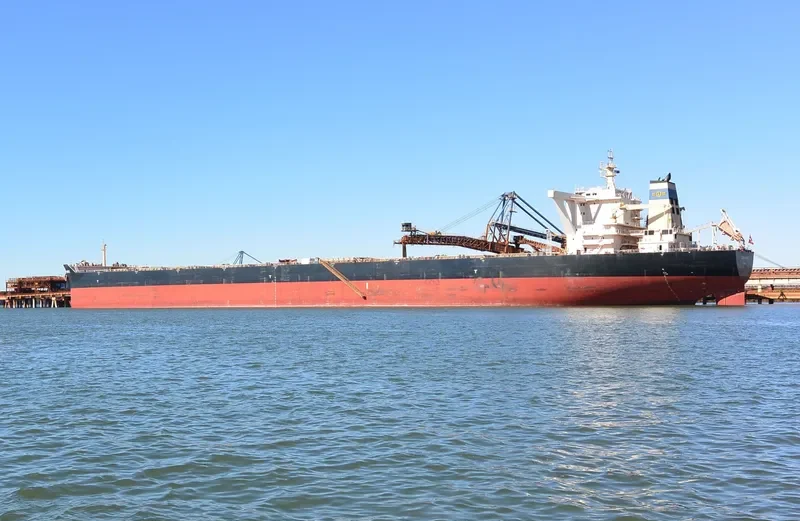 OCEAN WORLD Bulk Carrier IMO 9445289 photo 2