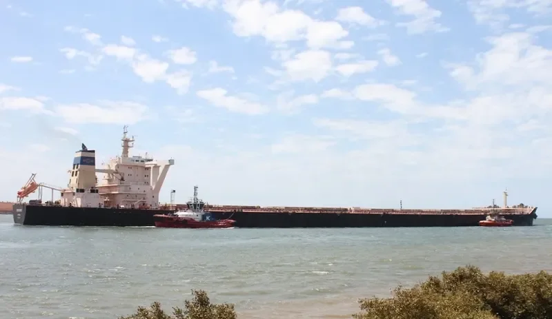 OCEAN WORLD Bulk Carrier IMO 9445289 photo 4