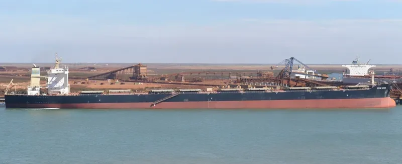 OCEAN CHINA Bulk Carrier IMO 9445291