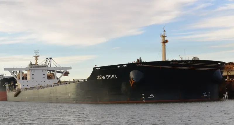 OCEAN CHINA Bulk Carrier IMO 9445291 photo 2