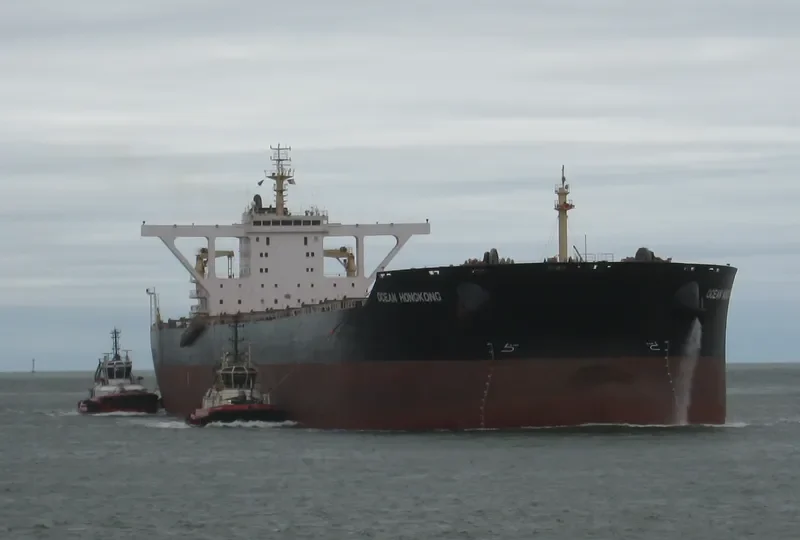 OCEAN HONGKONG Bulk Carrier IMO 9445306