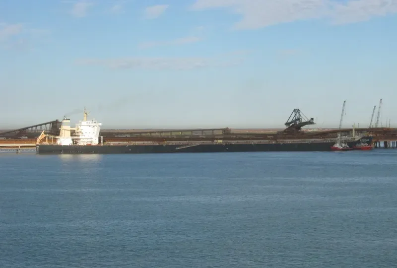OCEAN HONGKONG Bulk Carrier IMO 9445306 photo 2