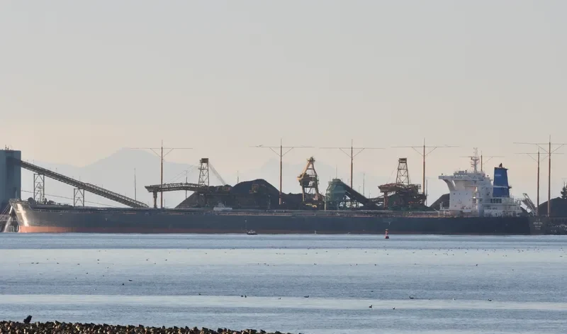 GREAT ZHOU Bulk Carrier IMO 9445320